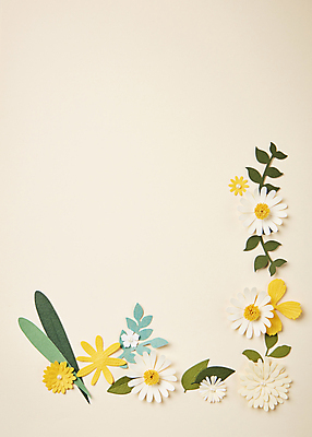 포토 JPG 스튜디오촬영 종이 잎 프레임 사람없음 하이앵글 페이퍼아트 오브젝트 종이꽃 베이지색배경 카피스페이스 편집소스 국내포토 식물 꽃 뷰포인트 백그라운드 실내 공백 베이지색 파일형식