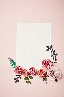 포토 JPG 스튜디오촬영 종이 잎 사각프레임 사람없음 하이앵글 페이퍼아트 오브젝트 종이꽃 카피스페이스 편집소스 분홍색배경 국내포토 식물 꽃 뷰포인트 분홍색 백그라운드 프레임 실내 사각형 공백 파일형식