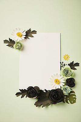 포토 JPG 스튜디오촬영 종이 잎 사각프레임 사람없음 하이앵글 페이퍼아트 오브젝트 종이꽃 카피스페이스 편집소스 초록배경 국내포토 식물 꽃 뷰포인트 백그라운드 프레임 실내 초록색 사각형 공백 파일형식