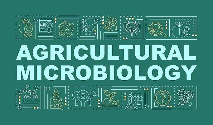 EPS 해외이미지 디자인 선 과학 백그라운드 컨셉 농업 일러스트 타이포그라피 사람없음 단어 실험실 생명공학 생물학 미생물 레터링 해외일러스트 문자 교육 산업 의학 생물 실험 파일형식 벡터 이미지허브