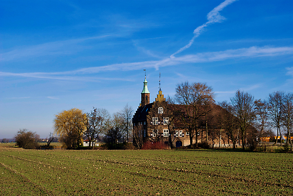 포토 JPG 해외이미지 나무 밭 자연 하늘 풍경 초원 사람없음 건물 파란색 농장 탑 네덜란드 기념물 천연기념물 해외포토 식물 건축물 유럽 컬러 농업 생태계 파일형식 이미지허브