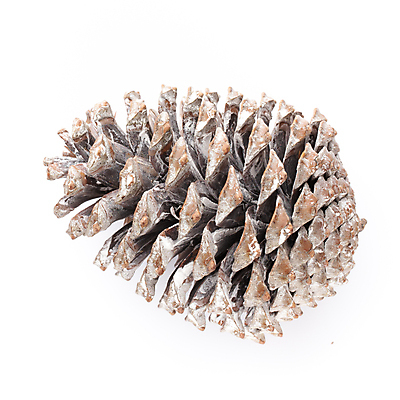 포토 JPG 해외이미지 모양 계절 별 백그라운드 크리스마스 공 휴가 사람없음 장식 빛 노란색 축제 흰색 축하 황금 12월 연도 심볼 오브젝트 사인 고립 해외포토 자연요소 기념일 컬러 컨셉 날짜 파일형식 이미지허브