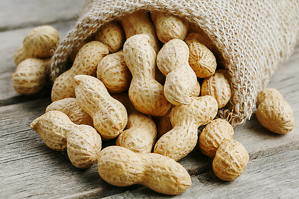 포토 JPG 해외이미지 실내 사람없음 견과류 유기농 담기 땅콩 자루 쏟아짐 나무탁자 해외포토 웰빙 모션 탁자 내부 파일형식 이미지허브