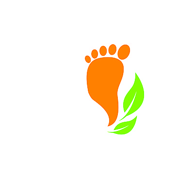 포토 JPG 해외이미지 손 디자인 여자 컨셉 신체 맨발 발 자연 휴식 건강 사람없음 치료 뷰티 새싹 상점 스파 흰색 마사지 우아함 허브 테라피 발목 돌봄 양발 치료사 페디큐어 해외포토 식물 직업 컬러 의학 모션 사람 신체부위 생태계 파일형식 이미지허브