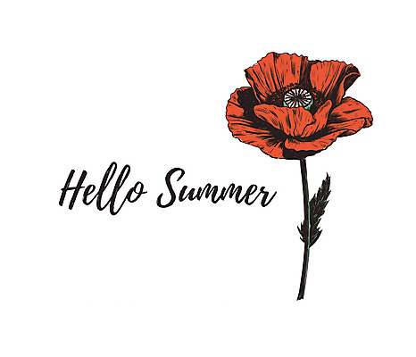 JPG 해외이미지 영어 꽃 한송이 일러스트 캘리그라피 사람없음 빨간색 빈티지 손그림 양귀비 해외일러스트 식물 문자 1 컬러 컨셉 송이 파일형식 이미지허브