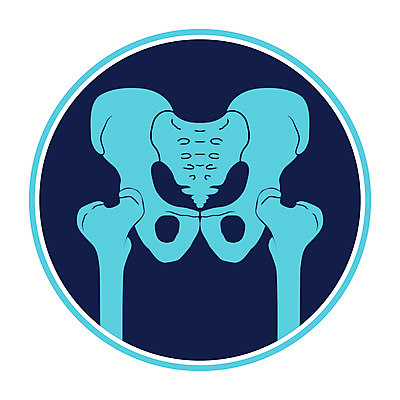 포토 JPG 해외이미지 교육 실루엣 과학 신체 해부 뼈 골격 건강 병원 사람 사람없음 치료 약 고통 질병 엉덩이 척추 관절염 생물학 골다공증 외과 테라피 허벅지 고립 골절 돌봄 연골 정형외과 해외포토 감정 의학 모션 촬영기법 신체부위 뷰티 파일형식 이미지허브