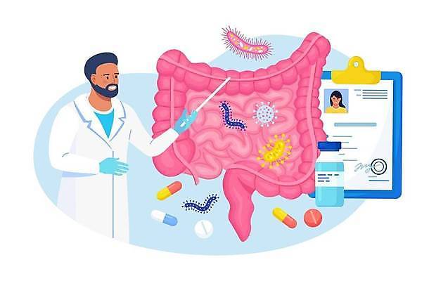 EPS 해외이미지 여자 남자 하늘색 일러스트 의학 건강 들기 상반신 성인 두명 알약 건강관리 환자 의사 가리킴 약병 대장 미생물 지시봉 대장균 성인만 해외일러스트 모션 생물 관리 사람 손짓 파란색 약 의료진 장기_의학 병_담는 파일형식 벡터 이미지허브