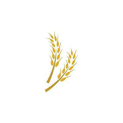EPS 해외이미지 식물 디자인 배너 음식 빵 백그라운드 농업 다이어트 일러스트 자연 밥 건조 건강 옥수수 씨앗 농작물 농장 노란색 라벨 수확 성장 흰색 신선 시장 황금 상품 낟알 시리얼 밀 먹기 심볼 사인 유기농 보리 귀 밀가루 스파이크 내추럴 고립 밭일 엘리먼트 귀리 해외일러스트 웰빙 산업 컬러 모션 곡류 프레임 신체부위 가루 생태계 파일형식 벡터 사람 이미지허브