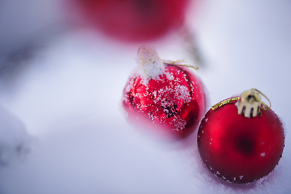 포토 JPG 해외이미지 주간 크리스마스장식 겨울 사람없음 야외 눈 소프트포커스 오너먼트 해외포토 자연요소 계절 크리스마스 날씨 촬영기법 파일형식 이미지허브