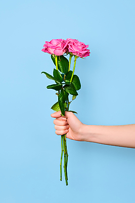 포토 JPG 해외이미지 손 배너 여자 기념일 꽃 포스터 분홍색 꽃다발 백그라운드 컨셉 꽃무늬 휴가 발렌타인데이 선물 사랑 사람 사람없음 세로 초록색 빛 장미 유행 벚꽃 축하 인사 신선 잡기 신용카드 생일 개화 다발 심볼 주기 진홍색 팔 고립 어머니의날 해외포토 식물 감정 컬러 무늬 모션 데이이벤트 이벤트 신체부위 빨간색 금융 예절 미국문화 파일형식 이미지허브