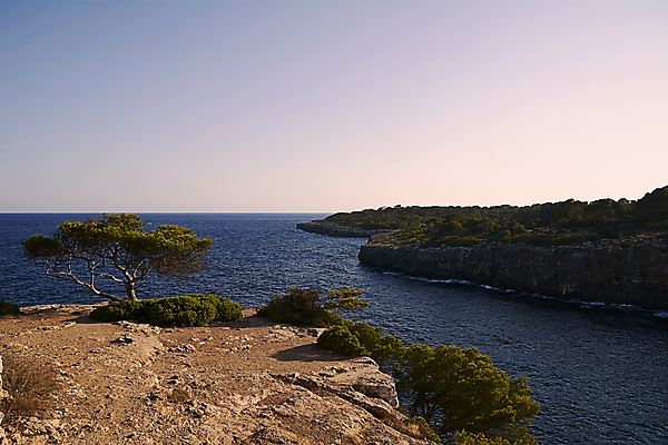 포토 JPG 해외이미지 라이프스타일 웰빙 행복 물결 모래 파도 바다 섬 자연 휴가 휴식 건강 손바닥 사람 사람없음 물 파란색 햇빛 평화 수영 침묵 기쁨 젖음 투명 스페인 재산 고급 날씬함 장면 이국적 터키석 파라다이스 수평선 완전 부족함 해외포토 자연요소 손 감정 유럽 컬러 컨셉 생활 금융 태양 소리 수상스포츠 보석 몸매 생태계 파일형식 이미지허브