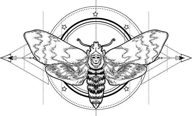 EPS 해외이미지 동물 선 나비 곤충 백그라운드 날개 일러스트 자연 잉크 흑백 장식 수확 달 원형 중세 야간 인쇄 신비 스케치 문신 심볼 사인 그림 윤곽 손그림 점성술 마법 판화 나방 고립 대칭 색칠공부 엘리먼트 스타일 해외일러스트 자연요소 도형 컨셉 농업 촬영기법 미술 학습 색칠 역사 생태계 파일형식 벡터 이미지허브