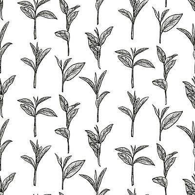 EPS 해외이미지 나무 식물 전통 디자인 꽃 음료 음식 잎 패턴 일러스트 자연 유리 주전자 건강 그래픽 컵 초록색 세트 주방 일본 검은색 중국 카페 머그컵 수확 찻잔 찻주전자 스케치 수집 허브 심볼 메뉴 아로마 손그림 내추럴 엘리먼트 핸드메이드 해외일러스트 식기 아시아 컬러 무늬 농업 재질 주방용품 잔 미술 상점 생태계 파일형식 벡터 이미지허브