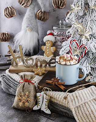 포토 JPG 해외이미지 영어 크리스마스 크리스마스용품 실내 사람없음 미니어처 스케이트 주머니 코코아 지팡이사탕 진저맨 진저쿠키 해외포토 문자 기념일 음료 스포츠용품 사탕 내부 모형 쿠키 용품 파일형식 이미지허브