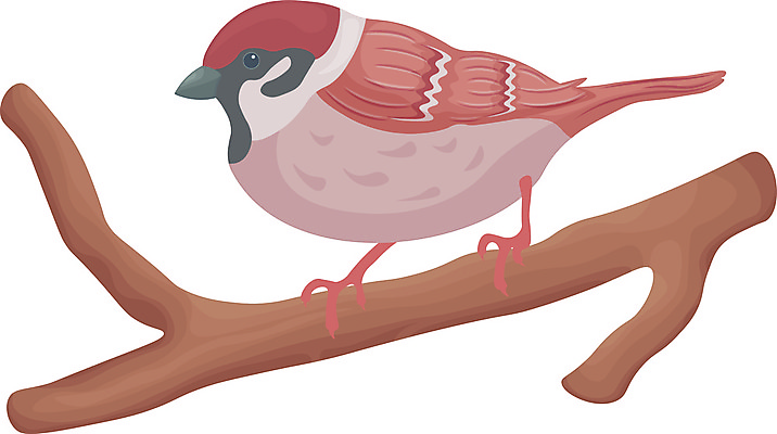 JPG 해외이미지 일러스트 사람없음 갈색 귀여움 나뭇가지 참새 해외일러스트 나무 컬러 컨셉 조류 파일형식 이미지허브