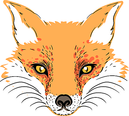 포토 JPG 해외이미지 동물 템플릿 디자인 포스터 얼굴 야생동물 오렌지 일러스트 포유류 자연 동물원 가면 미술 사람없음 빨간색 머리 고양이 흰색 직물 잠 신용카드 개 낙서 숲 인쇄 만화 스케치 인도인 심볼 사인 그림 클립 심플 여우 손그림 늑대 부족 고립 엘리먼트 스타일 해외일러스트 외국인 컬러 컨셉 과일 문화예술 동양인 신체부위 금융 반려동물 생태계 파일형식 이미지허브