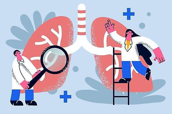 EPS 해외이미지 전신 라이프스타일 여자 남자 일러스트 사다리 돋보기 들기 성인 가리킴 허파 십자모양 성인만 해외일러스트 모양 모션 사람 손짓 생활 도구 호흡기관 십자 파일형식 벡터 이미지허브