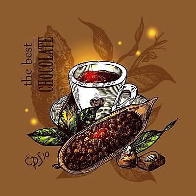 EPS 해외이미지 일러스트 사람없음 초콜릿 스케치 코코아 카카오 카카오열매 해외일러스트 열매 음료 디저트 미술 파일형식 벡터 이미지허브