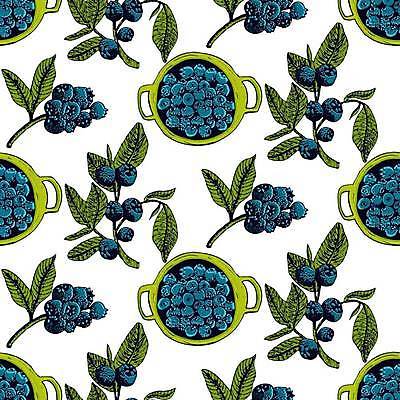 EPS 해외이미지 식물 음식 백그라운드 잎 패턴 농업 다이어트 과일 일러스트 자연 잉크 건강 그래픽 파란색 정원 수확 신선 달콤 숲 스케치 먹기 허브 메뉴 그림 유기농 블루베리 내추럴 고립 숙성 채식주의자 비건 해외일러스트 웰빙 산업 컬러 무늬 모션 미술 맛 생태계 채식 파일형식 벡터 이미지허브