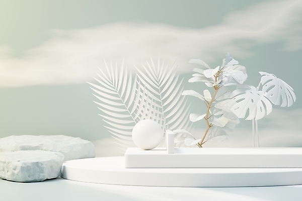 포토 JPG 해외이미지 식물 디자인 백그라운드 컨셉 잎 추상 사람없음 장식 세트 3D 무대 흰색 원형 오브젝트 단상 열대잎 파스텔톤 포디움 해외포토 도형 컬러 무늬 디지털합성 파일형식 이미지허브