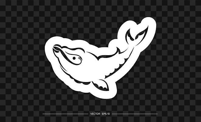 EPS 해외이미지 한마리 일러스트 사람없음 라인아트 고래 해외일러스트 1 선 포유류 수중동물 파일형식 벡터 이미지허브