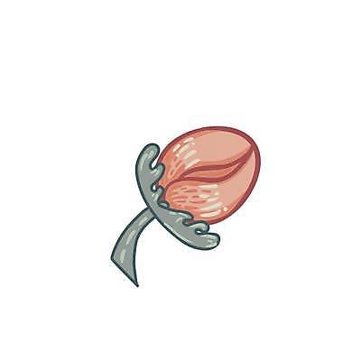 EPS 해외이미지 디자인 꽃 일러스트 미술 사람없음 꽃봉오리 해외일러스트 식물 문화예술 파일형식 벡터 이미지허브