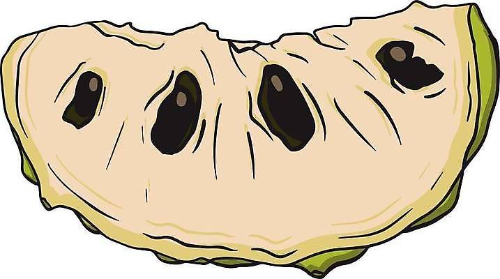 EPS 해외이미지 식물 음식 잎 농업 과일 일러스트 자연 디저트 건강 씨앗 세트 정원 수확 신선 달콤 사과 설탕 스케치 수집 메뉴 유기농 손그림 내추럴 이국적 채식주의자 현실 맛있는 해외일러스트 웰빙 산업 미술 맛 생태계 채식 파일형식 벡터 이미지허브