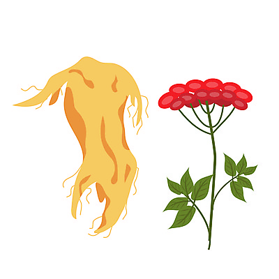 포토 JPG 해외이미지 식물 전통 열매 꽃 음식 잎 꽃무늬 다이어트 일러스트 재료 자연 추상 한국 건강 요리 동양인 사람없음 치료 초록색 세트 약 미국 중국 수확 흰색 나뭇가지 신선 약초 허브 심볼 사인 그림 유기농 복고 뿌리 내추럴 보충 고립 해외일러스트 나무 웰빙 아시아 컬러 북아메리카 무늬 농업 의학 인종 풀_식물 생태계 파일형식 이미지허브