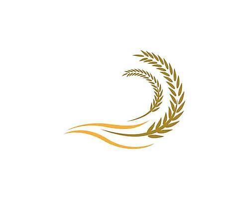 EPS 해외이미지 식물 디자인 배너 음식 빵 백그라운드 농업 다이어트 일러스트 자연 밥 건조 건강 옥수수 씨앗 농작물 농장 노란색 라벨 수확 성장 흰색 신선 시장 황금 상품 낟알 시리얼 밀 먹기 심볼 사인 유기농 보리 귀 밀가루 스파이크 내추럴 고립 밭일 엘리먼트 귀리 해외일러스트 웰빙 산업 컬러 모션 곡류 프레임 신체부위 가루 생태계 파일형식 벡터 사람 이미지허브