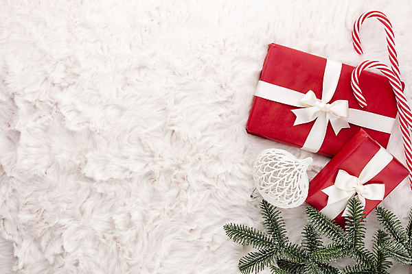 포토 JPG 해외이미지 나무 라이프스타일 계절 리본 백그라운드 크리스마스 겨울 휴가 새해 선물 사람없음 목재 장식 빨간색 선물상자 상자 우주 축제 수확 흰색 시골 축하 신용카드 12월 오브젝트 활 전나무 해외포토 식물 기념일 컬러 컨셉 농업 재료 생활 금융 날짜 파일형식 이미지허브