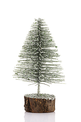 포토 JPG 해외이미지 나무 백그라운드 크리스마스 겨울 기념 사람없음 장식 초록색 흰색 나뭇가지 축하 소나무 황금 연도 전나무 원뿔 고립 가문비나무 해외포토 도형 식물 계절 기념일 컬러 컨셉 파일형식 이미지허브