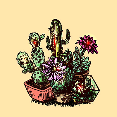JPG 해외이미지 디자인 꽃 화분 일러스트 선인장 사람없음 스타일 해외일러스트 식물 파일형식 이미지허브