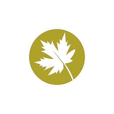 EPS 해외이미지 단풍 낙엽 잎 일러스트 사람없음 오브젝트 엘리먼트 해외일러스트 식물 파일형식 벡터 이미지허브