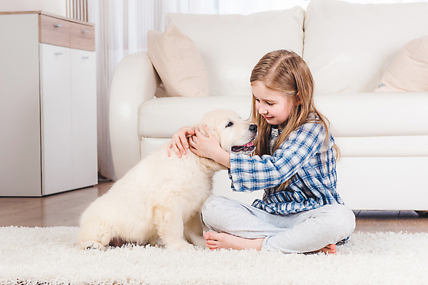 포토 JPG 해외이미지 동물 여자 행복 얼굴 새끼 포즈 포옹 주택 함께함 사랑 한명 미소 사람 앉기 반려동물 우정 카펫 흰색 신선 개 리트리버 강아지 래브라도리트리버 부드러움 솜털 기르기 동반자 해외포토 1 감정 컬러 컨셉 포유류 안기 모션 표정 건물 신체부위 친구 감각 돌봄 파일형식 이미지허브