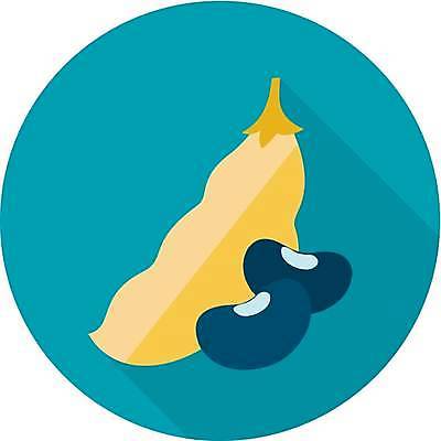 EPS 해외이미지 식물 디자인 음식 농업 채소 일러스트 재료 콩 건강 요리 씨앗 초록색 수확 신선 플랫 유기농 강낭콩 내추럴 고립 꼬투리 채식주의자 해외일러스트 웰빙 산업 컬러 곡류 채식 파일형식 벡터 이미지허브