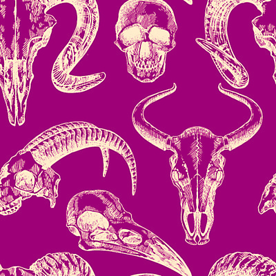 포토 JPG 해외이미지 동물 손 디자인 야생동물 과학 백그라운드 일러스트 해부 자연 조류 염소 골격 동물원 미술 사람없음 그래픽 장식 머리 검은색 수확 시골 죽음 양 소 주식 위험 문신 묘사 그림 황소 복고 사냥 황소자리 감탄 고립 서쪽 옛날 텍사스 특별함 해골모형 생존 스타일 현실 해외일러스트 컬러 컨셉 농업 포유류 의학 문화예술 신체부위 금융 모형 미국 별자리 방향 생태계 파일형식 이미지허브