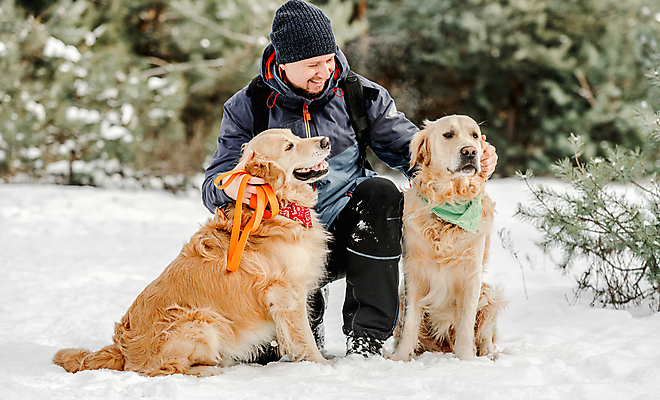 포토 JPG 해외이미지 주간 전신 남자 반려견 두마리 겨울 함께함 한명 웃음 앉기 성인 야외 앞모습 반려동물 눈 골든리트리버 강아지 즐거움 성인남자한명만 해외포토 자연요소 동물 1 계절 감정 뷰포인트 컨셉 2 모션 날씨 표정 사람 개 리트리버 남자한명만 성인남자만 파일형식 이미지허브