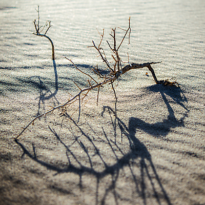 포토 JPG 해외이미지 나무 전통 문화 선 백그라운드 패턴 자연 추상 그림자 동양인 사람없음 목재 장식 세로 나뭇가지 막대기 묶기 대나무 보따리 유기농 질감 심플 나무껍질 내추럴 해외포토 식물 웰빙 무늬 재료 모션 인종 껍질 생태계 파일형식 이미지허브