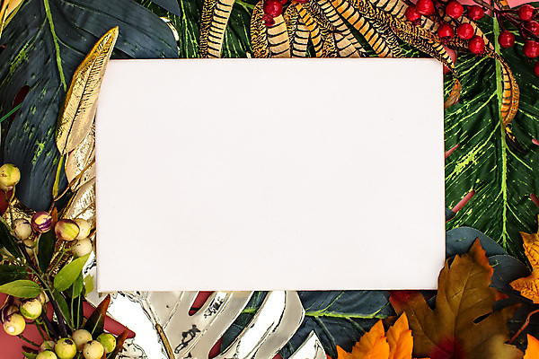 포토 JPG 해외이미지 식물 디자인 꽃잎 꽃 행복 분홍색 꽃다발 결혼 백그라운드 컨셉 잎 꽃무늬 자연 벽지 추상 휴가 아이디어 프레임 발렌타인데이 선물 사랑 미술 사람없음 장식 빨간색 여름 컬러풀 유행 침묵 봄 낭만 수확 벚꽃 하트 축하 신용카드 플랫 위치 2월 파스텔톤 힙스터 미니멀 해외포토 모양 계절 패션 감정 컬러 무늬 농업 데이이벤트 문화예술 이벤트 금융 소리 날짜 생태계 파일형식 이미지허브