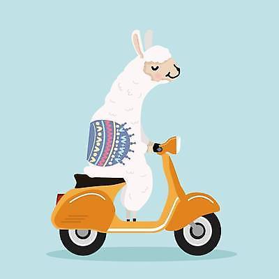 EPS 해외이미지 동물 캐릭터 디자인 행복 종이 얼굴 야생동물 어린이 여행 백그라운드 일러스트 포유류 자연 털 미술 미소 야외 그래픽 농장 머리 우주 미국 흰색 아기 달콤 인쇄 만화 모피 천 싱글 복고 솜털 칠레 남쪽 양모 고립 라마 알파카 페루 스타일 해외일러스트 일러캐릭터 감정 컬러 북아메리카 농업 문화예술 표정 사람 신체부위 직물 남아메리카 맛 방향 생태계 파일형식 벡터 이미지허브