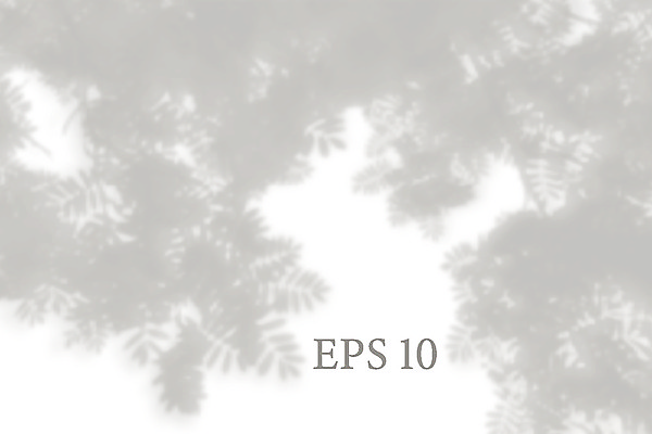 포토 JPG 해외이미지 백그라운드 나뭇잎 그림자 사람없음 그늘 해외포토 잎 파일형식 이미지허브