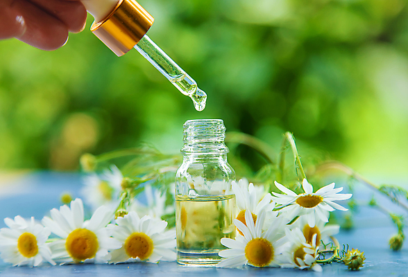 포토 JPG 해외이미지 식물 배너 꽃 백그라운드 신체 자연 유리 탁자 건강 사람없음 목재 치료 초록색 뷰티 약 노란색 스파 화장품 흰색 물방울 신선 마사지 허브 피부 향수 유기농 데이지 향기 아로마 향 아로마테라피 테라피 내추럴 돌봄 에센스 추출 캐모마일 카피스페이스 해외포토 나무 웰빙 컬러 가구 재료 의학 모션 재질 신체부위 공백 생태계 냄새 파일형식 이미지허브