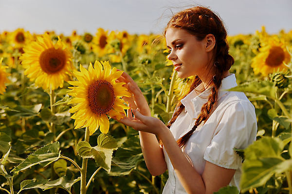 포토 JPG 해외이미지 주간 여자 꽃밭 해바라기 한명 상반신 성인 야외 옆모습 만지기 성인여자한명만 해외포토 자연요소 1 꽃 뷰포인트 모션 사람 여자한명만 성인여자만 파일형식 이미지허브