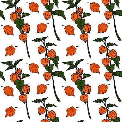 EPS 해외이미지 식물 손 디자인 계절 선 음식 백그라운드 잎 꽃무늬 패턴 다이어트 토마토 과일 일러스트 자연 벽지 수채화 건강 미술 그래픽 세트 갈색 정원 나뭇가지 신선 얼룩 황금 스케치 수집 그림 유기농 질감 손그림 비타민 내추럴 해외일러스트 나무 웰빙 꽃 컬러 무늬 채소 문화예술 신체부위 생태계 영양소 파일형식 벡터 이미지허브