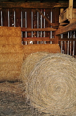 포토 JPG 해외이미지 농업 건조 실내 사람없음 내부 건물 목재 농작물 농장 농경지 갈색 노란색 문 환경 상점 수확 시골 원형 역사 황금 볏짚 농부 주식 먹이 낟알 준비 정사각형 수납 뭉치 밀짚 내추럴 외양간 밭일 서쪽 울퉁불퉁 해외포토 도형 나무 직업 건축물 산업 컬러 재료 금융 짚 방향 파일형식 이미지허브