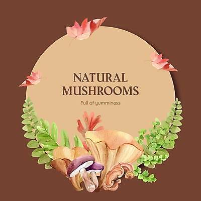 EPS 해외이미지 단풍 낙엽 잎 일러스트 수채화 사람없음 갈색 버섯 가을 분위기 손그림 감성 원형프레임 해외일러스트 식물 계절 컬러 컨셉 프레임 원형 파일형식 벡터 이미지허브