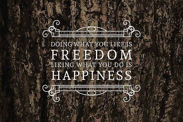 EPS 해외이미지 템플릿 편집 디자인 꽃 포스터 선 백그라운드 꽃무늬 패턴 일러스트 캘리그라피 프레임 미술 목재 장식 라벨 수확 골동품 소용돌이 화려 중세 클래식 고급 우아함 심볼 사인 복고 신분 기하학 타이틀 휘장 엘리먼트 옛날 표제 레터링 스타일 힙스터 모노그램 세련 국경 해외일러스트 나무 식물 패션 컨셉 무늬 농업 재료 문화예술 회오리 역사 파일형식 벡터 이미지허브