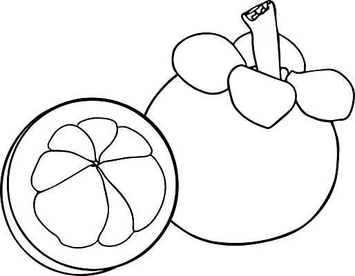 EPS 해외이미지 식물 백그라운드 농업 채소 과일 일러스트 재료 자연 잉크 건강 장식 정원 수확 신선 달콤 맛 낙서 스케치 그림 유기농 윤곽 손그림 비타민 건강식 말레이시아 고립 숙성 엘리먼트 이국적 채식주의자 비건 맛있는 해외일러스트 웰빙 산업 아시아 음식 컨셉 미술 생태계 채식 영양소 파일형식 벡터 이미지허브