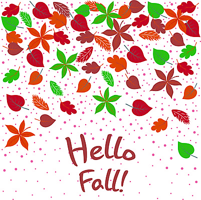 포토 JPG 해외이미지 식물 계절 포스터 백그라운드 단풍 잎 꽃무늬 오렌지 자연 벽지 추상 휴가 사람없음 야외 장식 빨간색 초록색 컬러풀 노란색 수확 흰색 신용카드 숲 9월 11월 만화 질감 10월 엘리먼트 해외포토 꽃 컬러 무늬 농업 과일 금융 날짜 생태계 파일형식 이미지허브