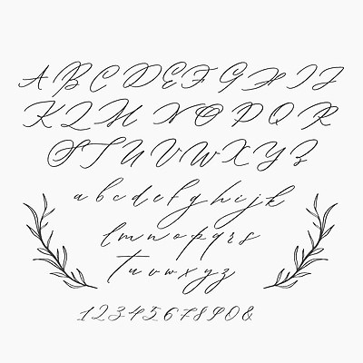 포토 JPG 해외이미지 디자인 알파벳 꽃 얼굴 결혼 잎 꽃무늬 일러스트 캘리그라피 자연 타이포그라피 사람없음 그래픽 장식 책 라벨 수확 벚꽃 나뭇가지 인사 신용카드 우아함 편지 문서 복고 초대 타입 고립 대본 엘리먼트 증명서 브랜딩 모노그램 국경 해외일러스트 나무 식물 문자 영어 컨셉 무늬 농업 프레임 이벤트 신체부위 금융 예절 생태계 파일형식 이미지허브